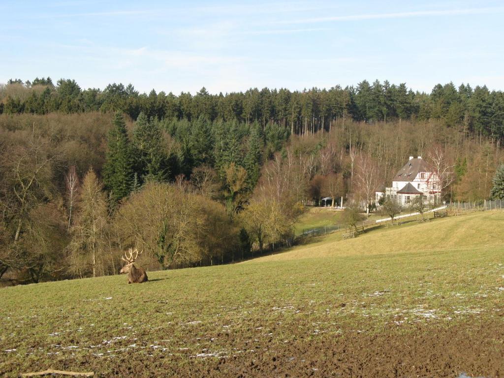 Waldhotel Forsthaus Remstecken Koblenz  Exterior foto